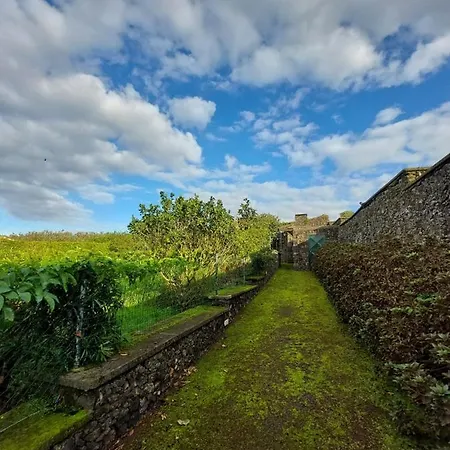 Quinta Do Sossego-giestas 大里贝拉